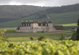 Château du Clos de Vougeot 