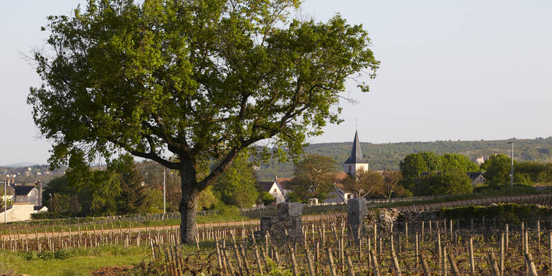 Village de Chassagne-Montrachet © Atelier photo Muzard